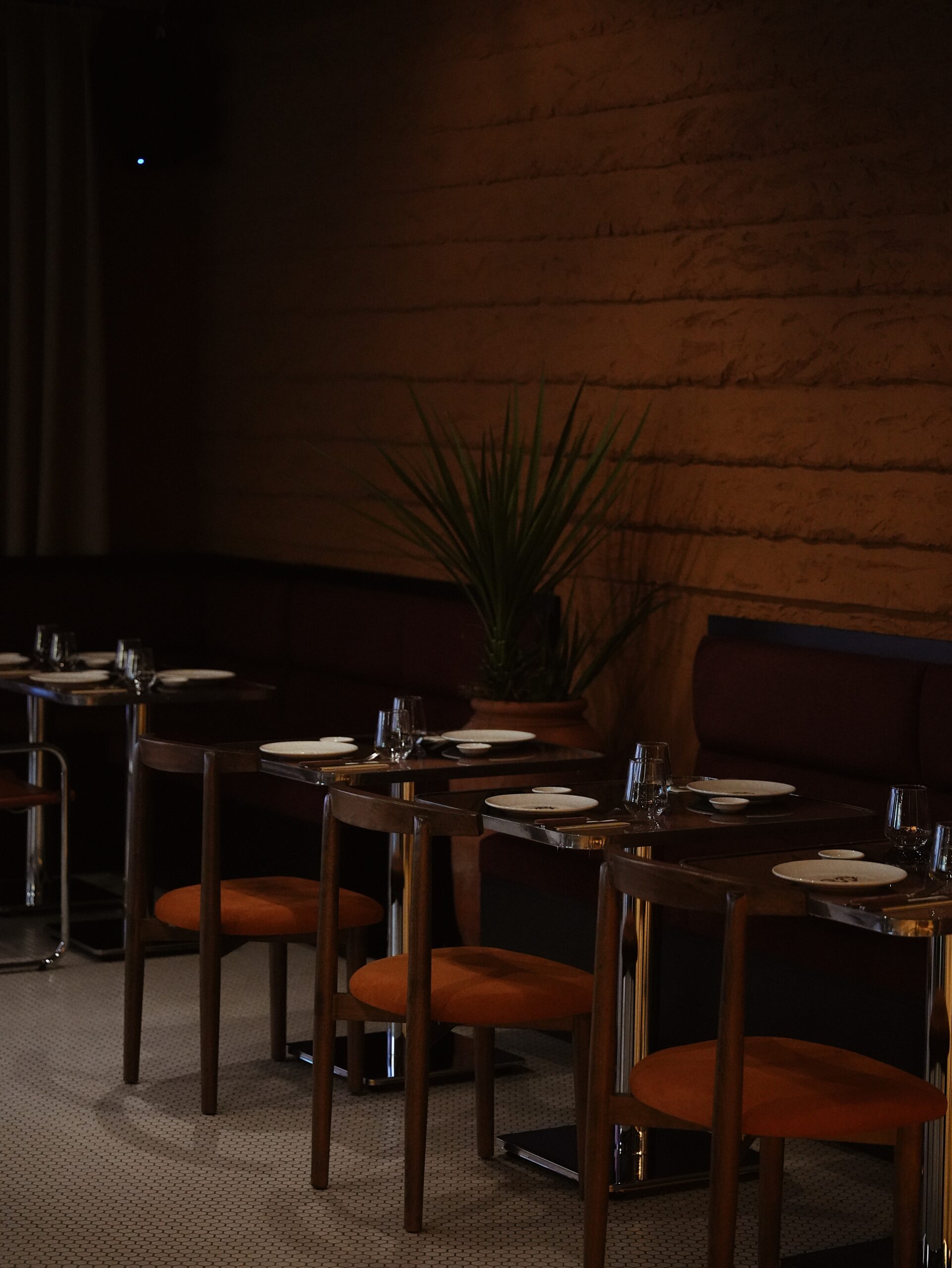 Mori Yaki Atmosfer 1